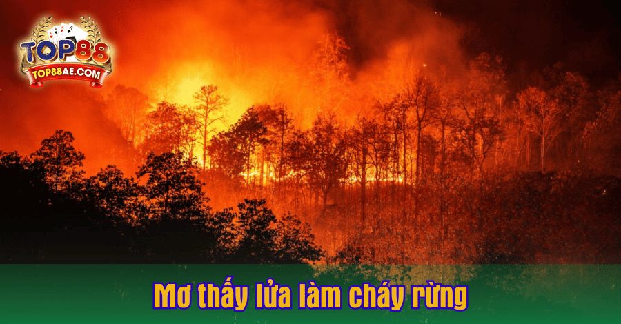 mo-thay-lua-lam-chay-rung